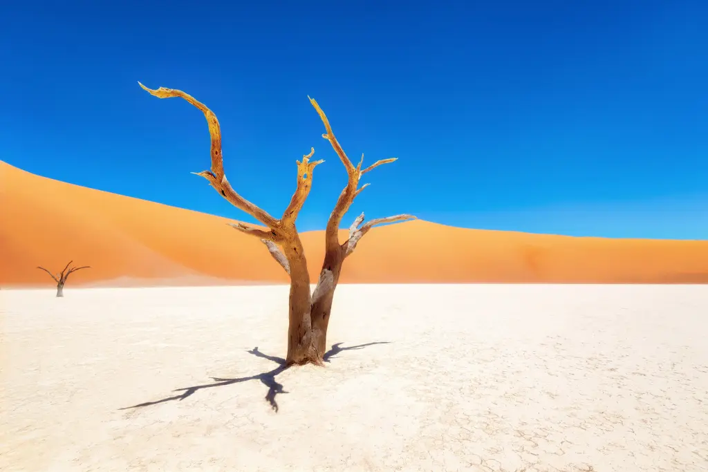 Sublieme Namibië buiten de gebaande paden-15J/13N