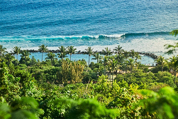 vue_916705_pgbighd.jpg