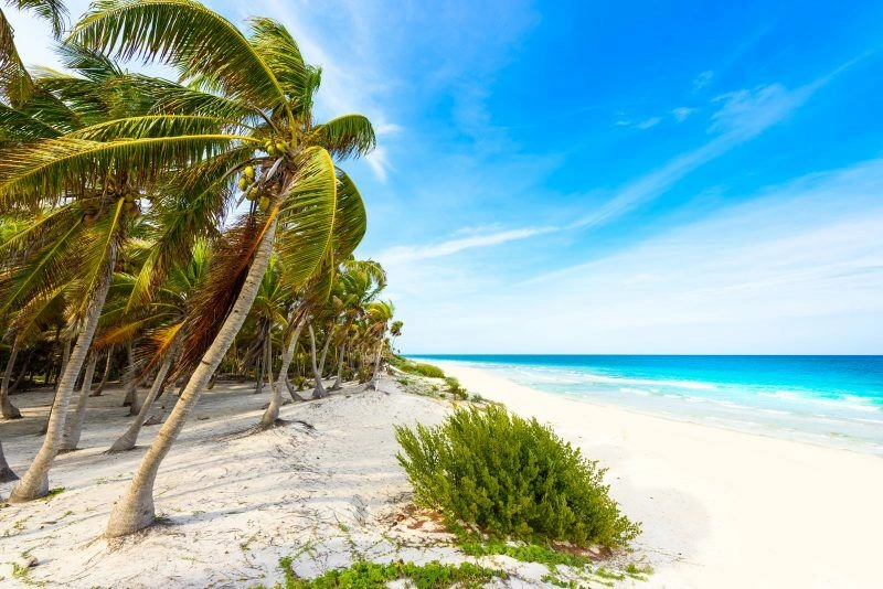 Playa_del_Carmen_AdobeStock_153680980.jpg