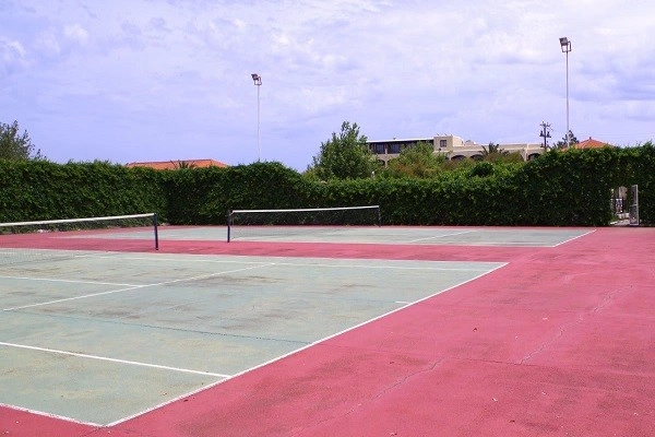 266015494.jpg