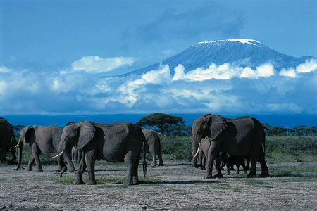 Kili.jpg