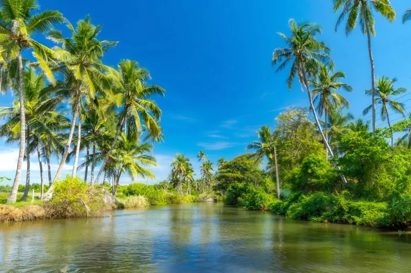 Negombo_canal_AdobeStock_205132033.jpg
