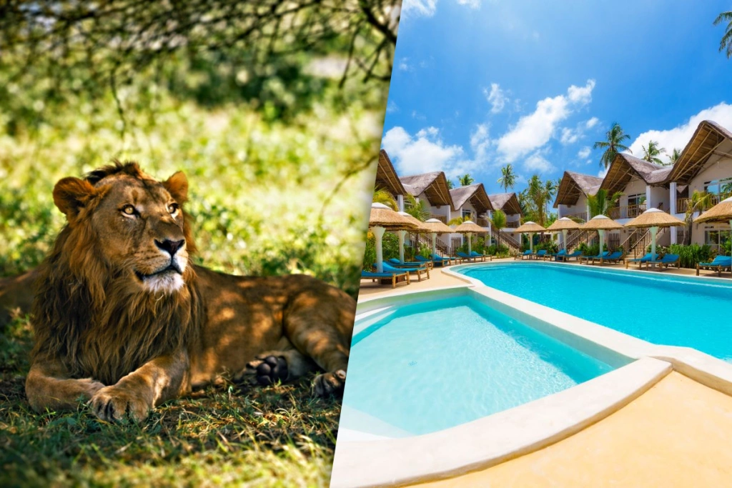 Een boottocht van 3 nachten in de baai van Saadani Kasa, inclusief een verblijf in het 4-sterren Club Coralia Olzadia Boutique Hotel.