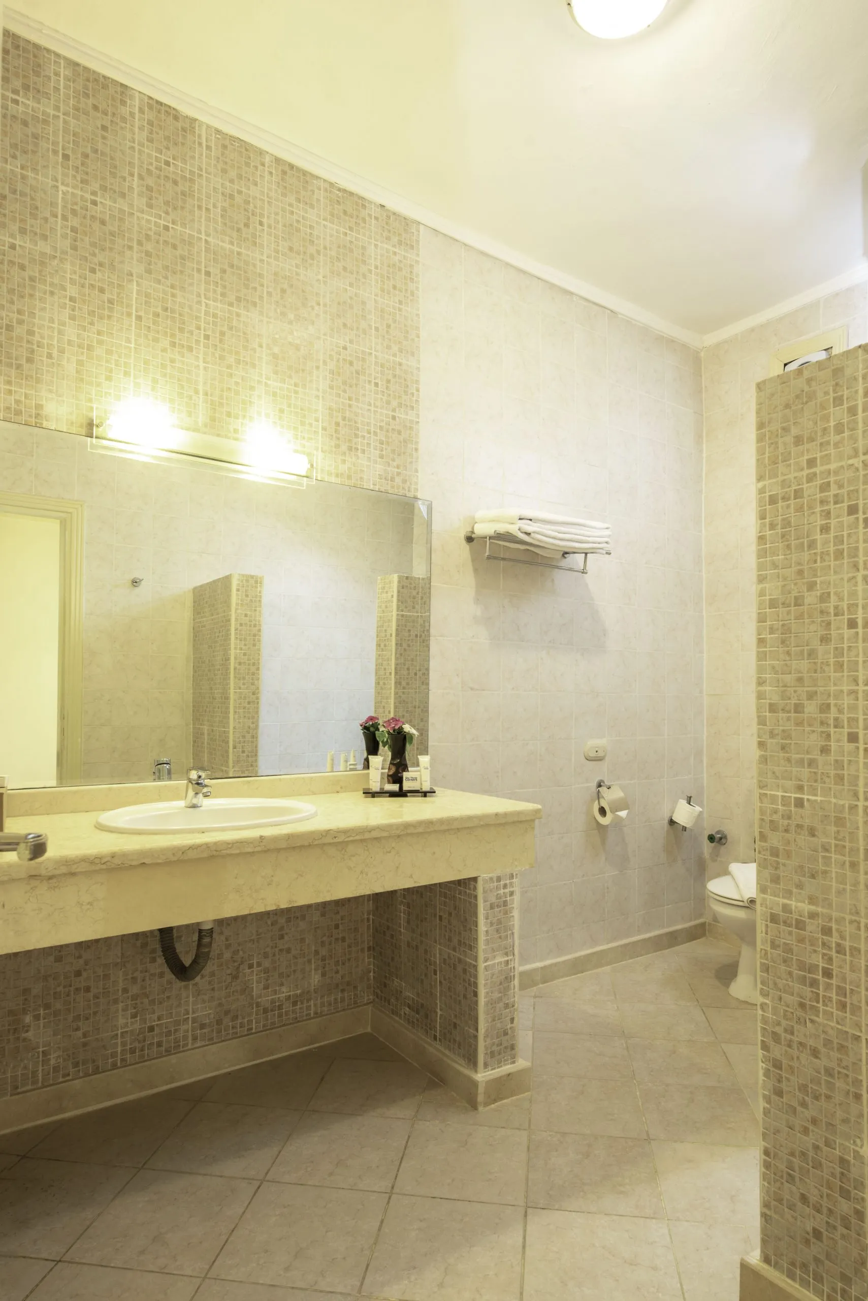 thethreecorners_redsea_hurghada_sunny_beach_resort_grand_room_bathroom-scaled.jpg