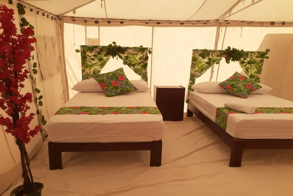 chambre_tropical.webp
