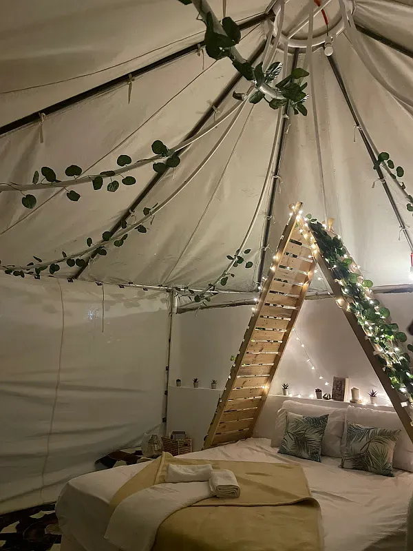 cactus-tent2.webp