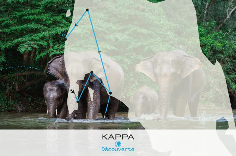 Kappa Decouverte Les Perles du Sud et Séjour Au Pullman Khao Lak Resort  5*
