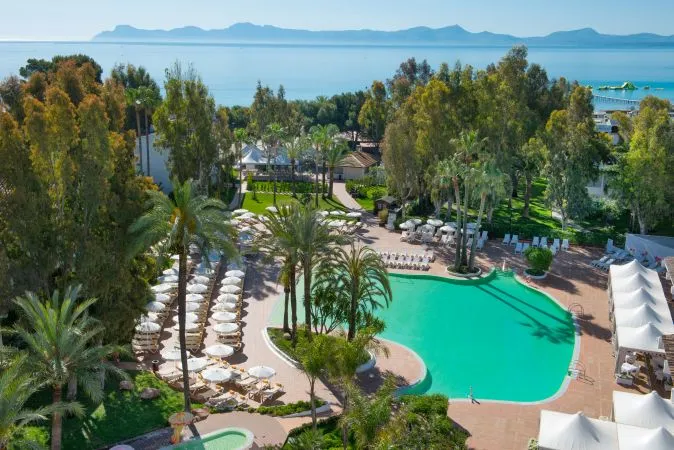 vignette.jpg