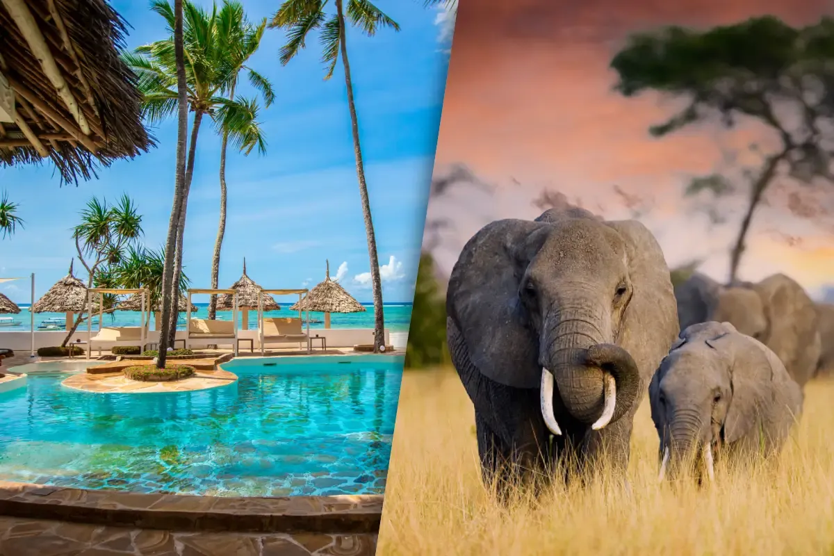 Safari_4_nuits_Ngorongo_Tarangire_et_Manyara_et_Sejour_au_Kappa_Club_Dreams_Bay_Boutique_Hotel_4.webp