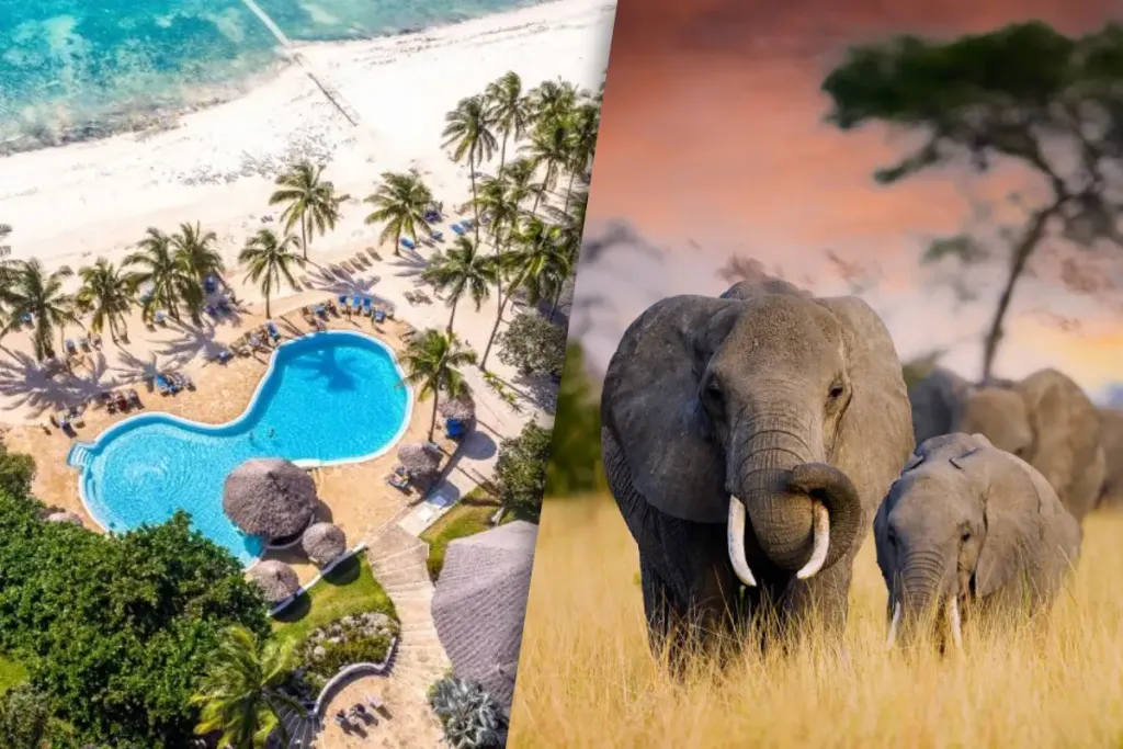 Safaris Ngorongoro, Tarangire et Manyara et Séjour au Kappa Club Waridi Beach Resort & Spa 4*