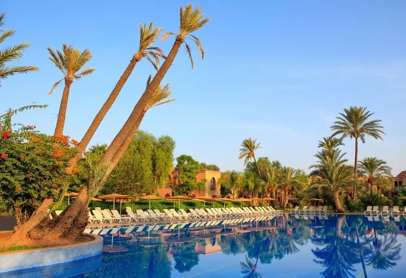 IBSTAR_PMK_IB_POOL_MAIN_D1609_001_(800x549).jpg