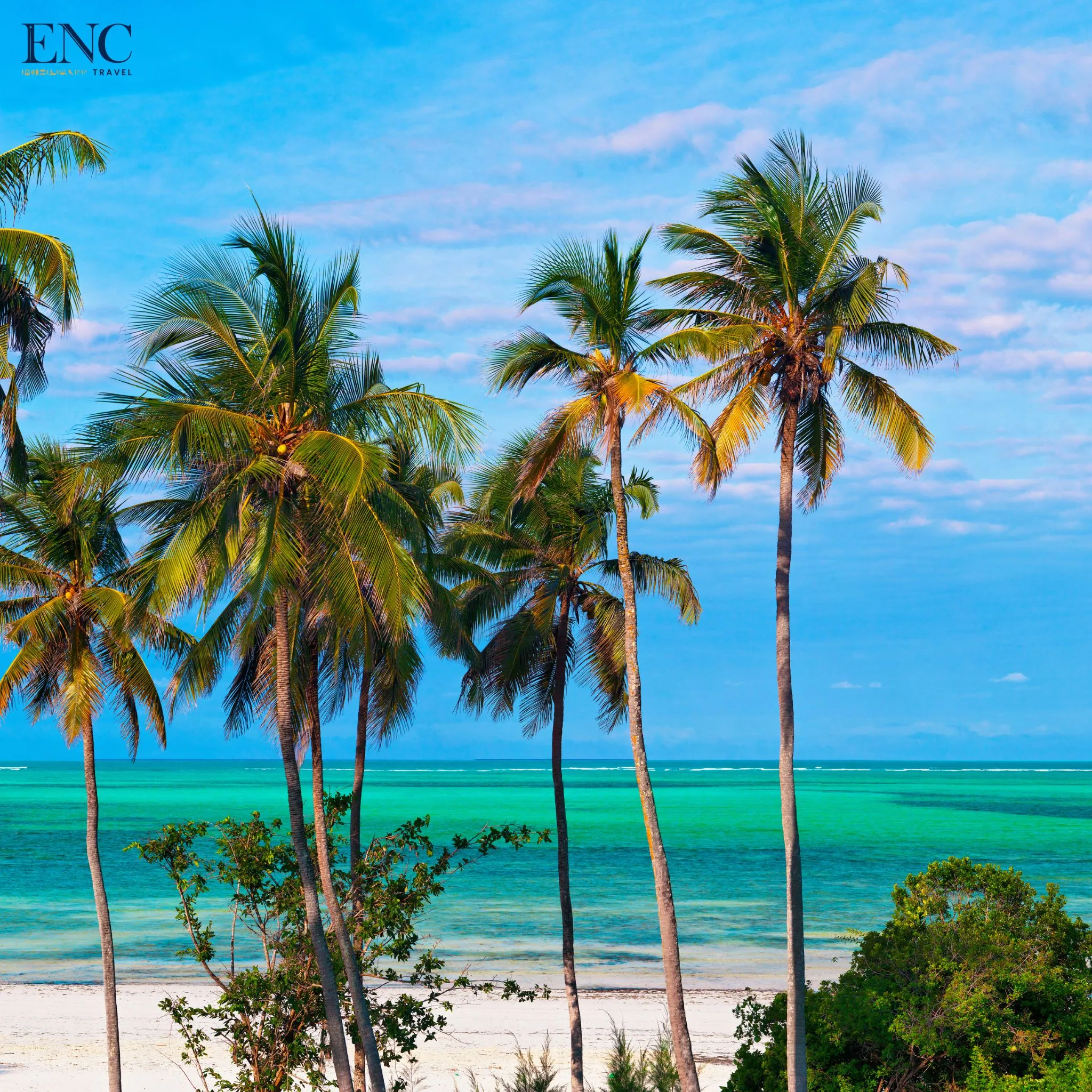 zanzibar6.jpg