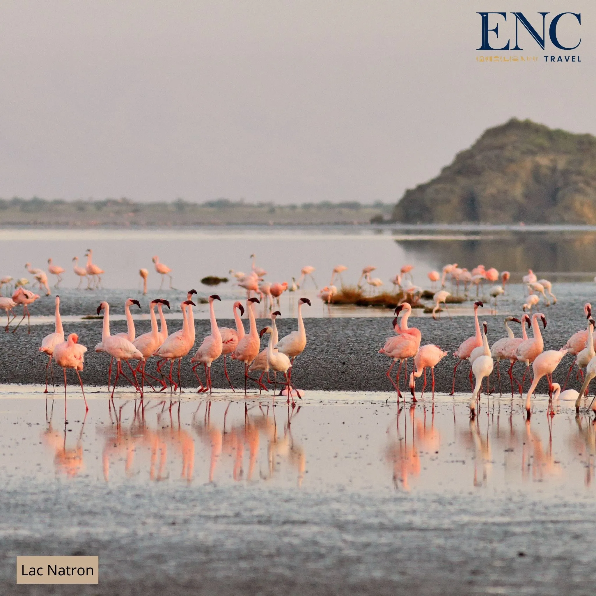 lac_natron2.jpg
