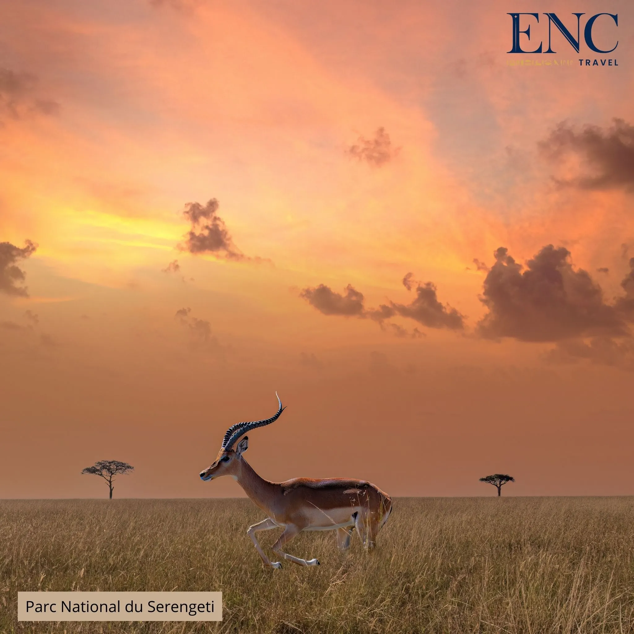 parc_national_du_serengeti5.jpg