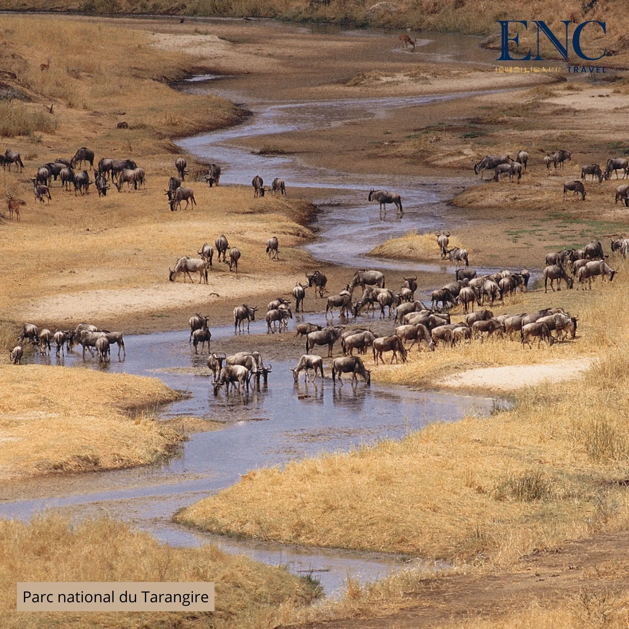 parc_national_du_tarangire5.jpg