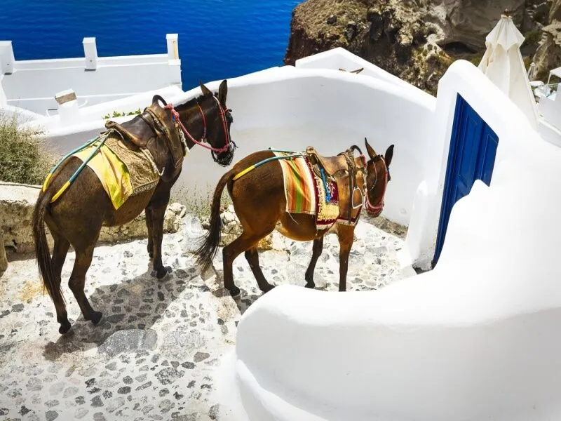 Combinatietour Santorini, Naxos en Paros in een 3-sterrenhotel - Van Santorini naar Santorini