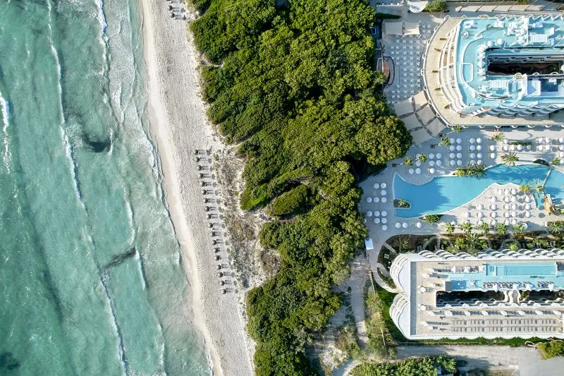 aerial_view.jpg