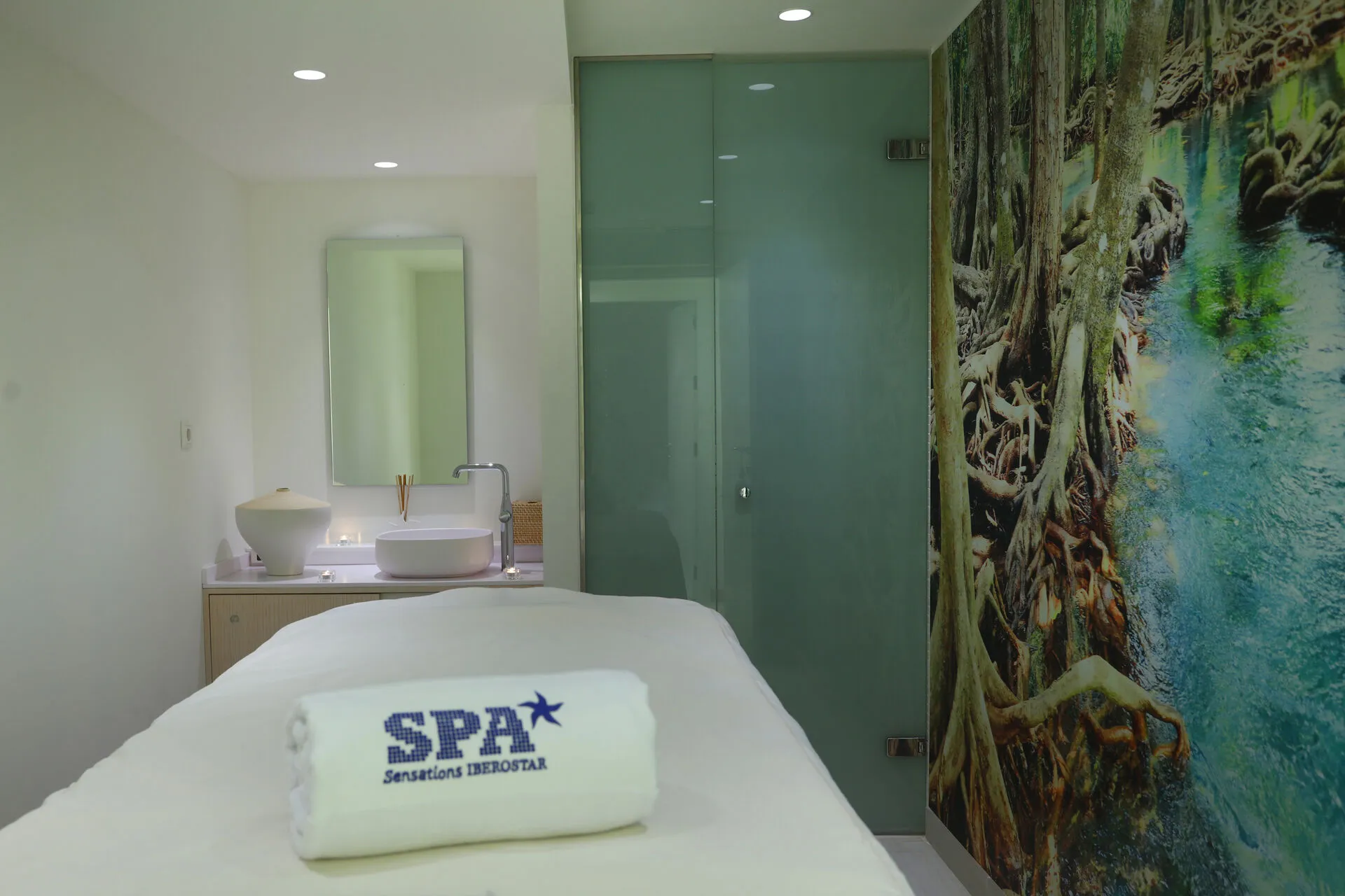 IBSTAR_PDP_SE_WELLN_SPA_D1603_003.jpg