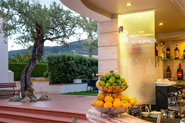 vue_887640_pgbighd.jpg