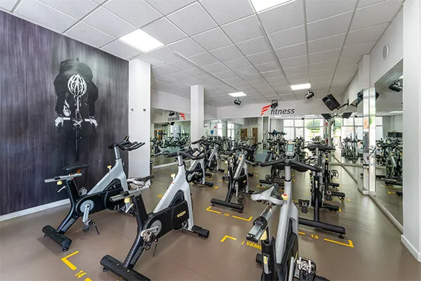 vue_921583_pgbighd.jpg