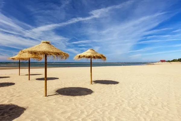 238377473.jpg
