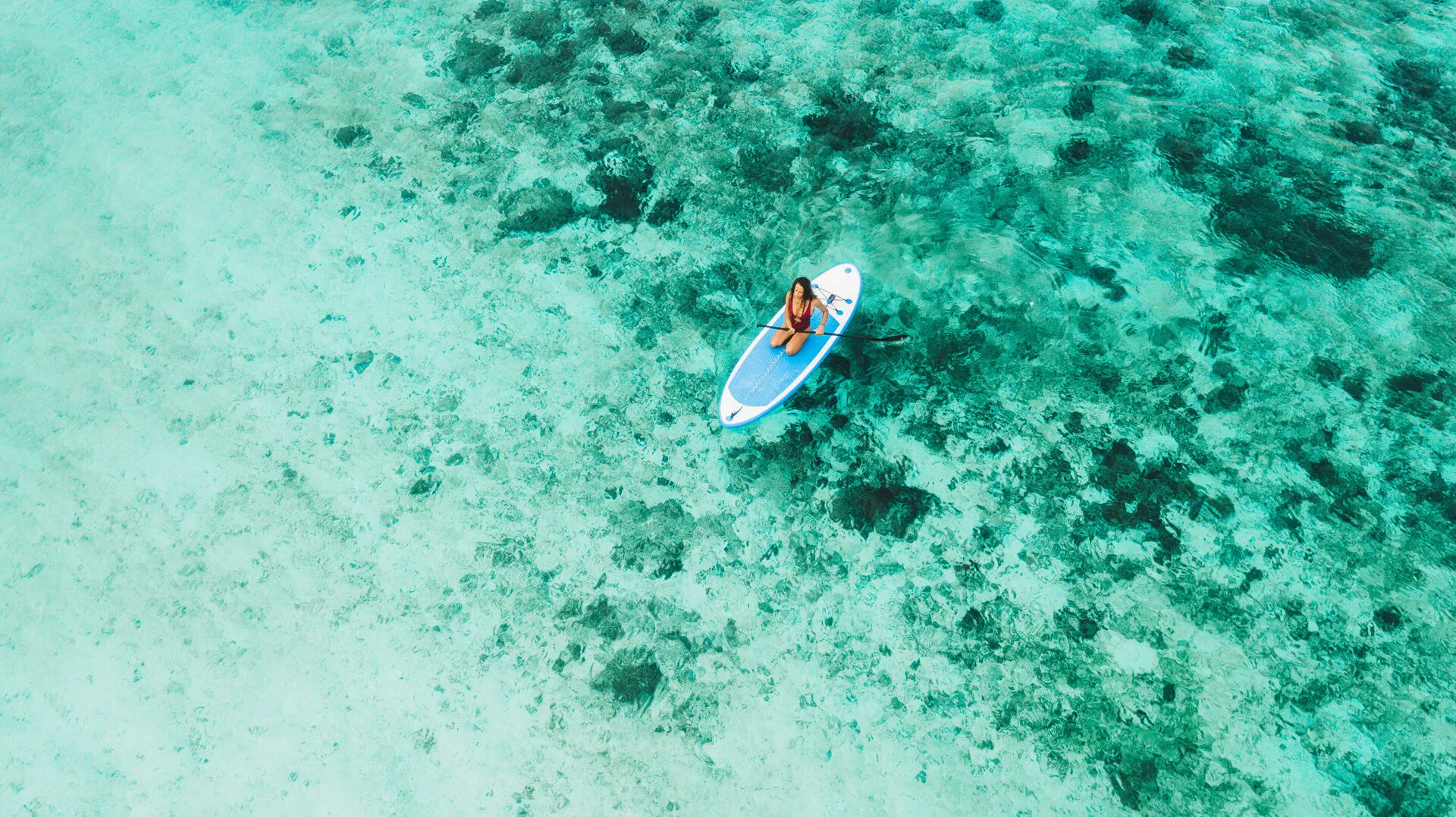 PADDLE.jpeg