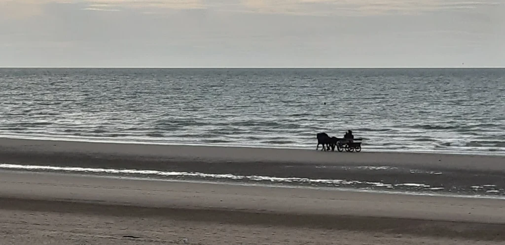 Kokette appartement aan de kust