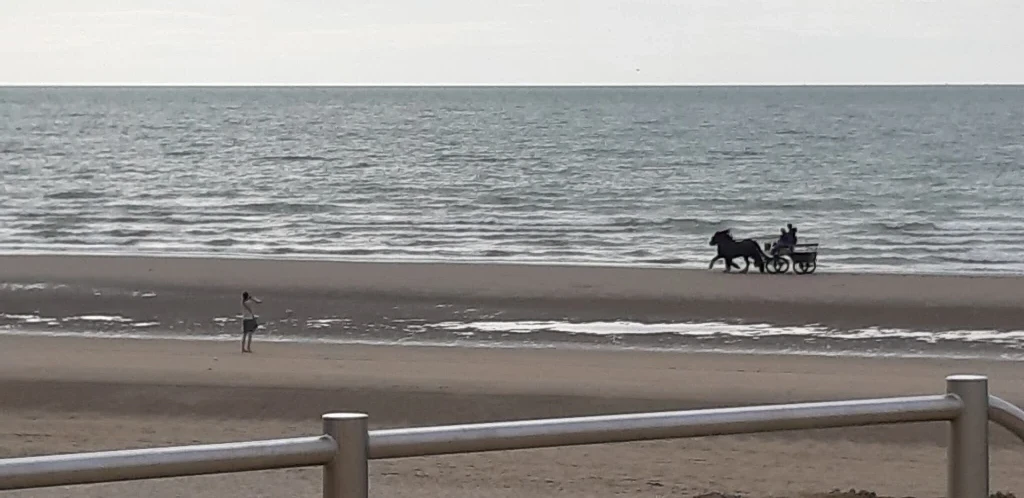 Kokette appartement aan de kust