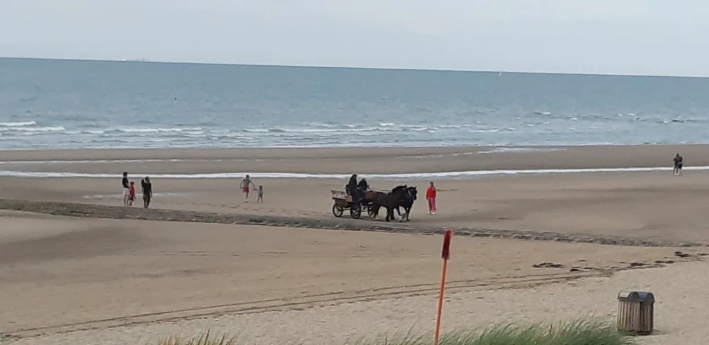 Kokette appartement aan de kust