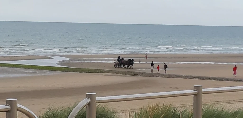 Kokette appartement aan de kust