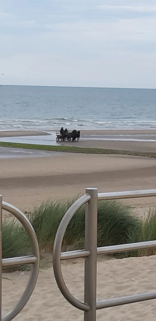 Kokette appartement aan de kust
