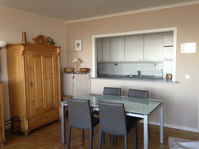ruim appartement met prachtig rechtstreeks zeezicht 