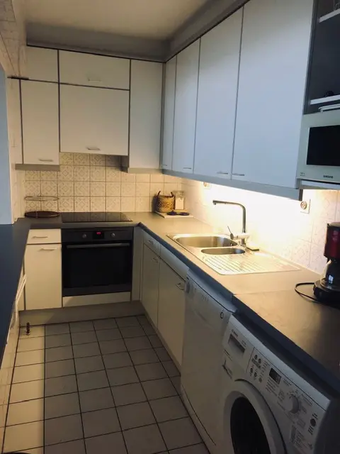 ruim appartement met prachtig rechtstreeks zeezicht 