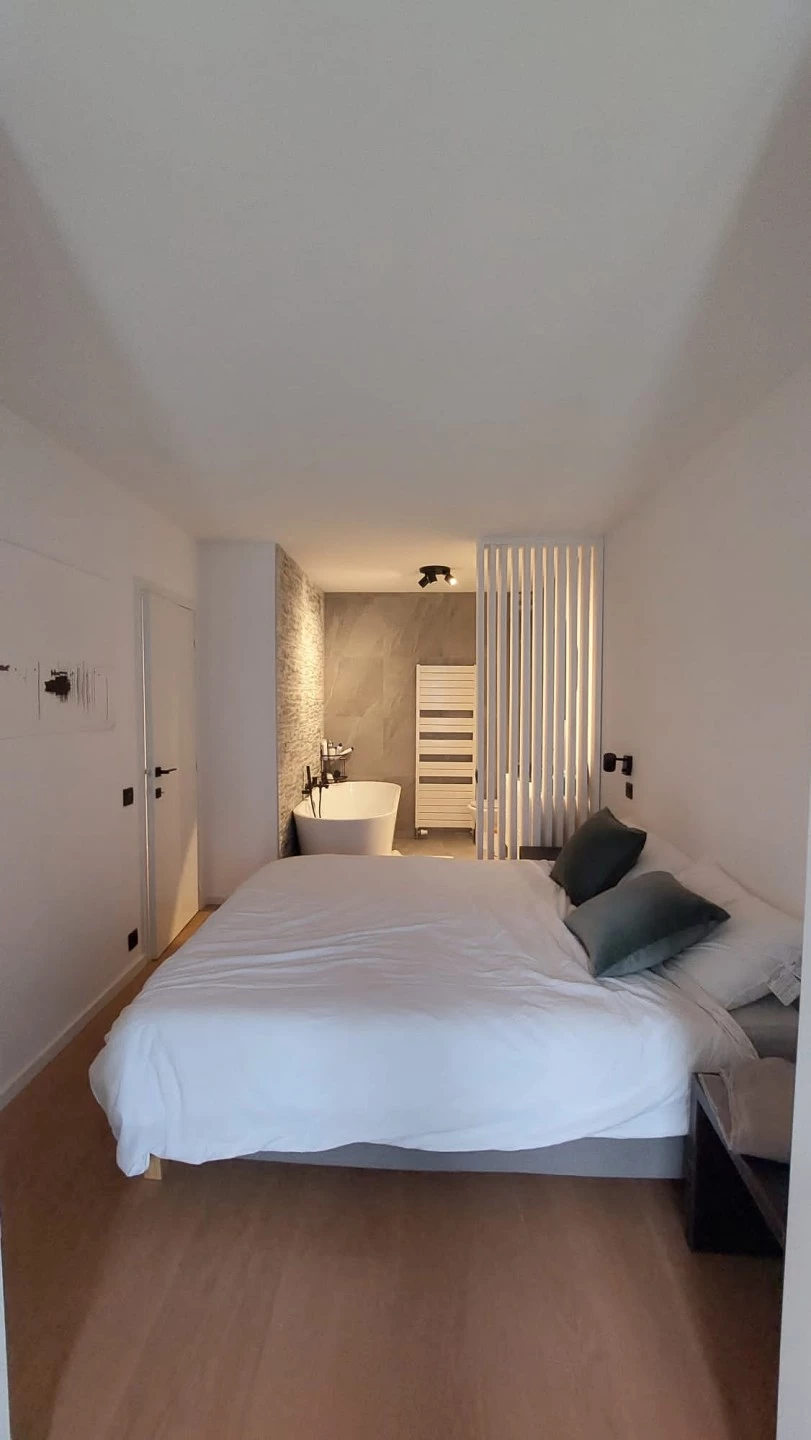 Prachtig gerenoveerd appartement