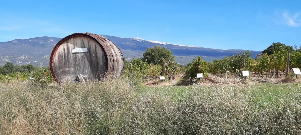 Provence - Vaucluse - Charmant vakantiehuis voor 2-5 personen, 2 slaapkamers, airconditioning, tuin in een rustige residentie
