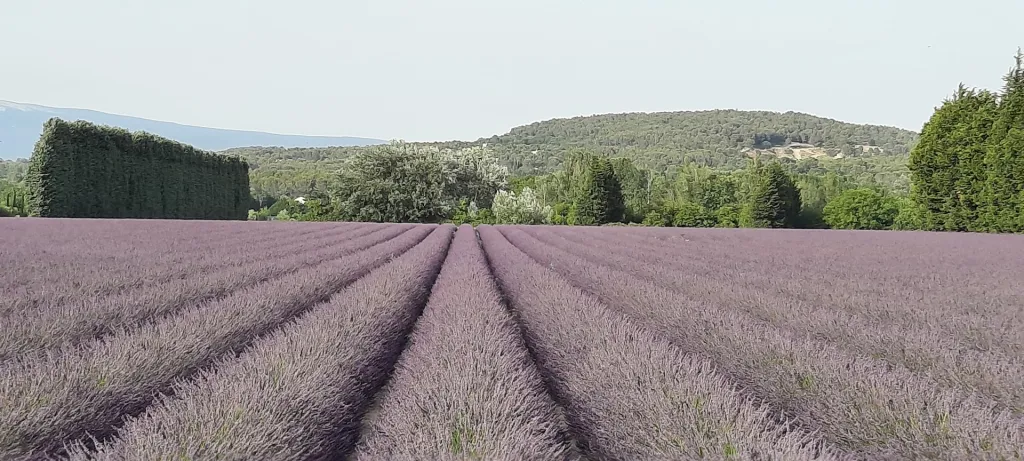 Provence - Vaucluse - Charmant vakantiehuis voor 2-5 personen, 2 slaapkamers, airconditioning, tuin in een rustige residentie
